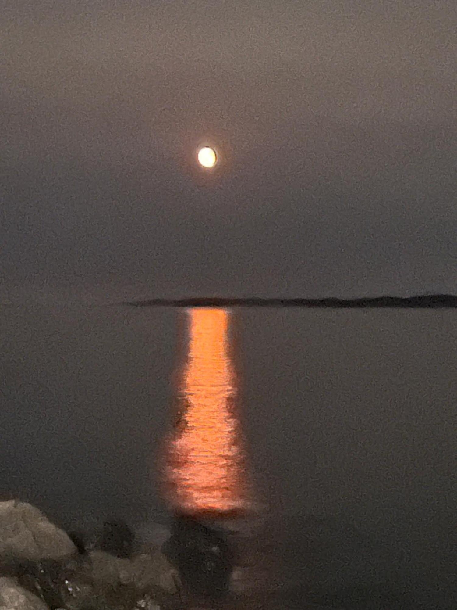 Pilley's Island The View Suites And Breakfast In Triton, Newfoundland المظهر الخارجي الصورة