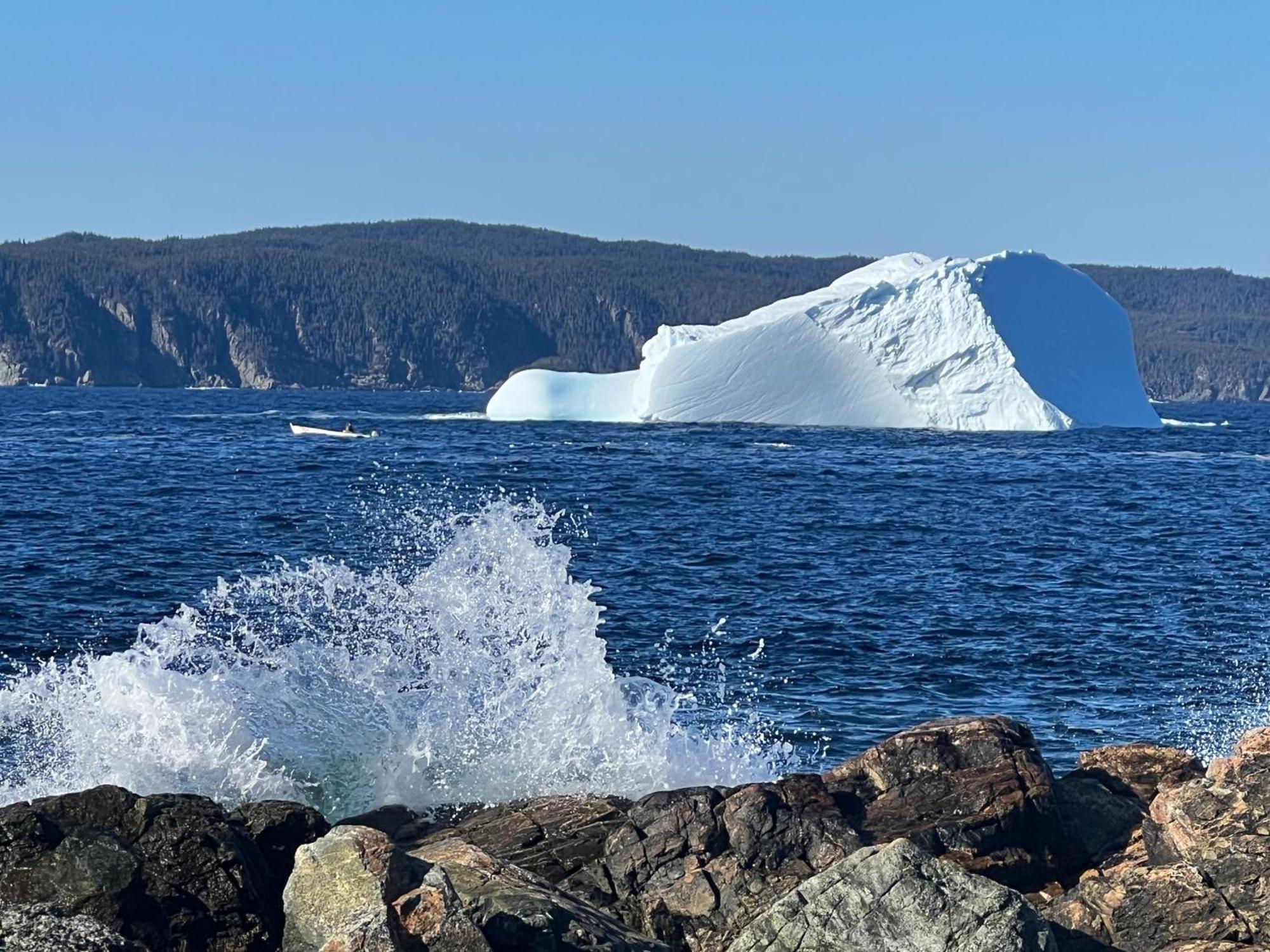 Pilley's Island The View Suites And Breakfast In Triton, Newfoundland المظهر الخارجي الصورة
