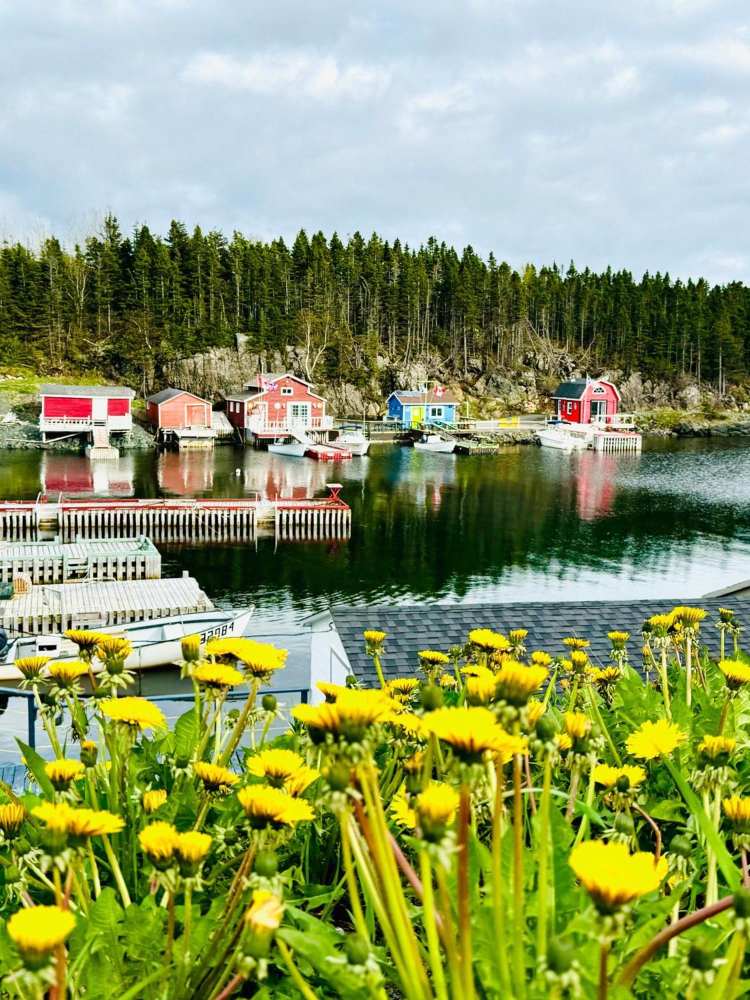 Pilley's Island The View Suites And Breakfast In Triton, Newfoundland المظهر الخارجي الصورة
